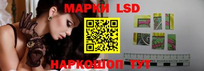 стафф Краснознаменск