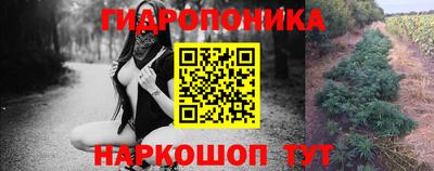 стафф Краснознаменск