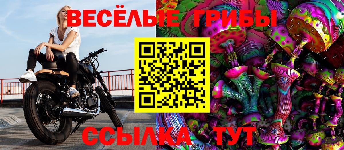 Псилоцибиновые грибы Magic Shrooms Качканар