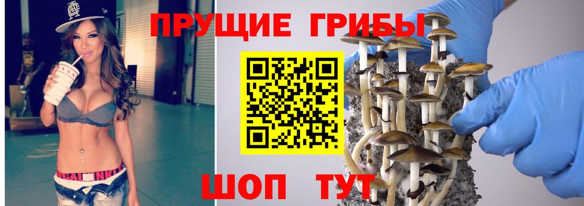 Псилоцибиновые грибы ЛСД  Псилоцибиновые грибы Psilocybe  Вход с VPN  Качканар 