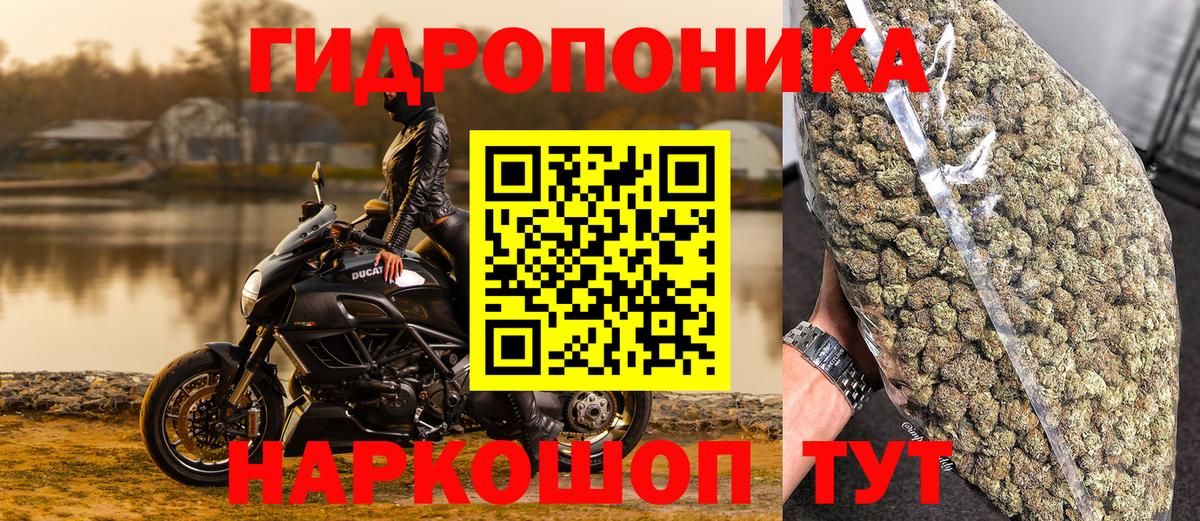 Бошки Шишки OG Kush  Бошки Шишки Bruce Banner  Каннабис Ganja  Качканар  Вход с VPN 